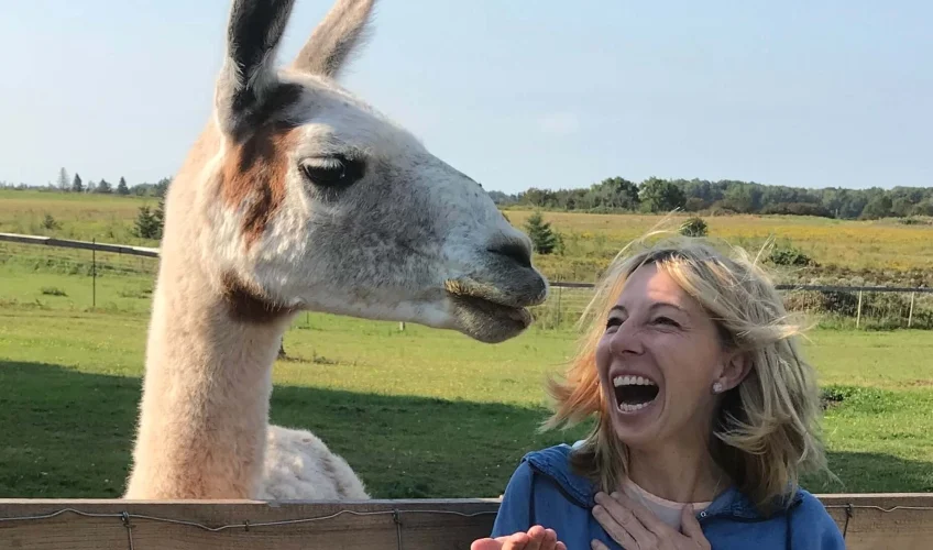 Opening Day at Green Gable Alpacas